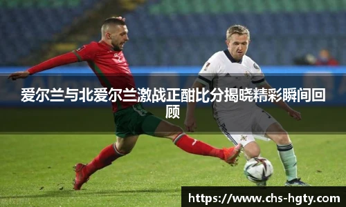 爱尔兰与北爱尔兰激战正酣比分揭晓精彩瞬间回顾